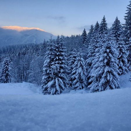 Nature House Predeal Dış mekan fotoğraf