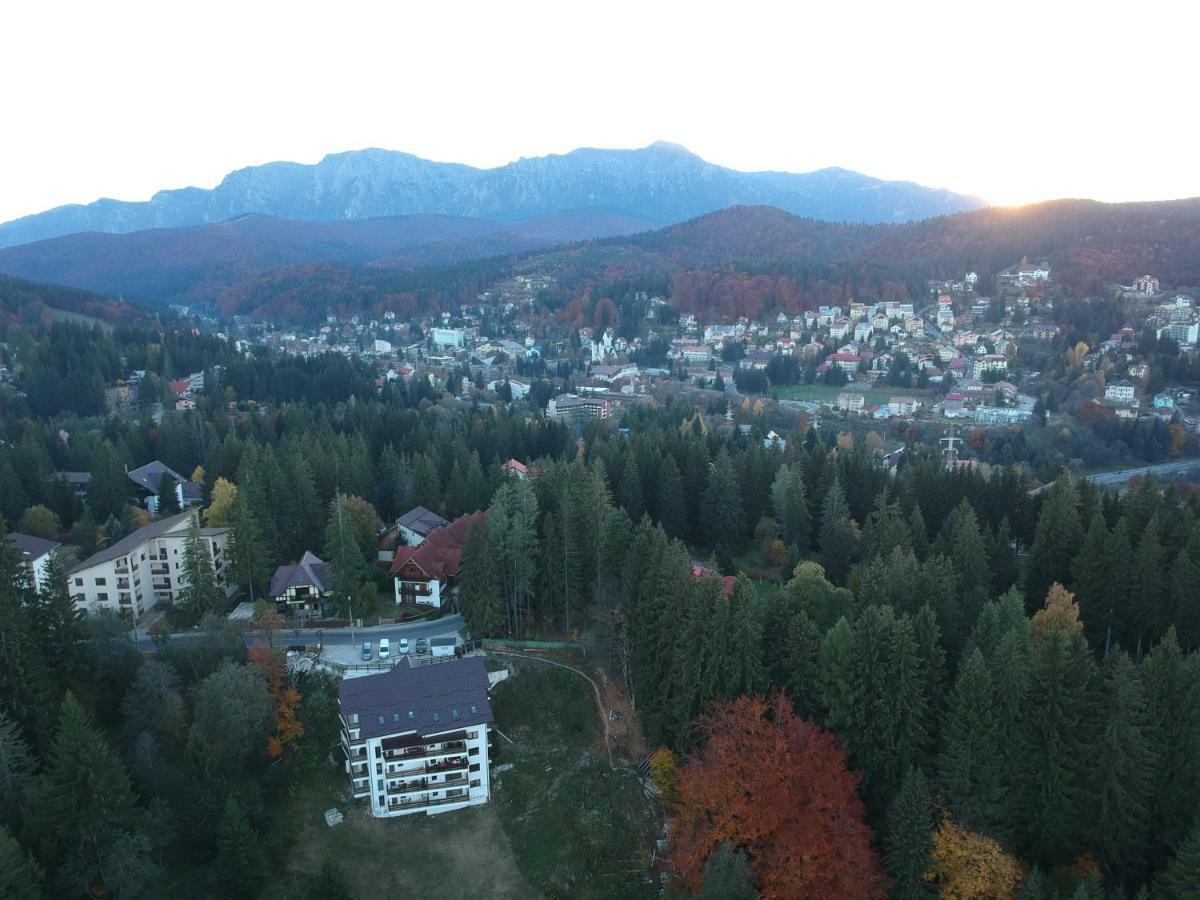 Nature House Predeal Dış mekan fotoğraf