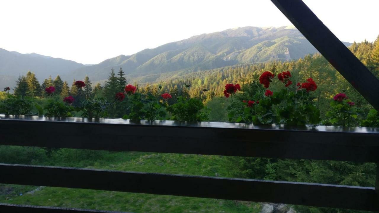 Nature House Predeal Dış mekan fotoğraf