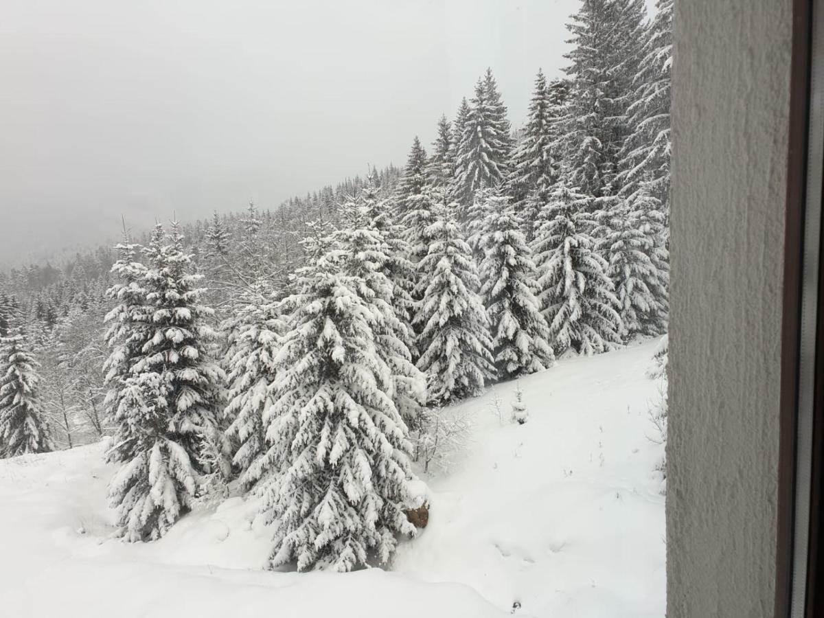 Nature House Predeal Dış mekan fotoğraf