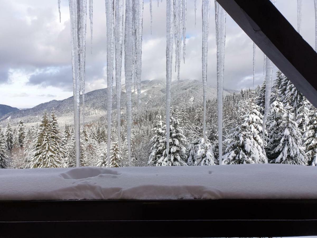 Nature House Predeal Dış mekan fotoğraf