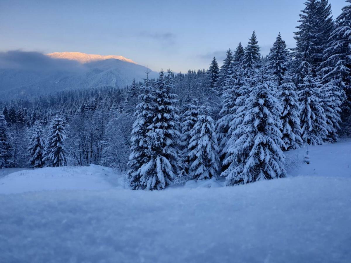 Nature House Predeal Dış mekan fotoğraf