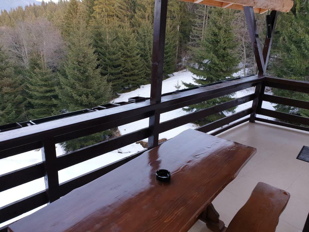 Nature House Predeal Dış mekan fotoğraf