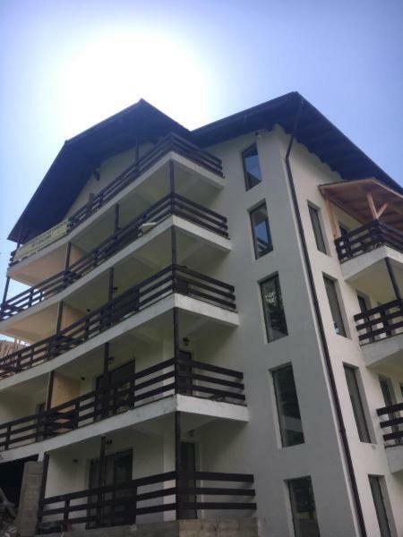 Nature House Predeal Dış mekan fotoğraf