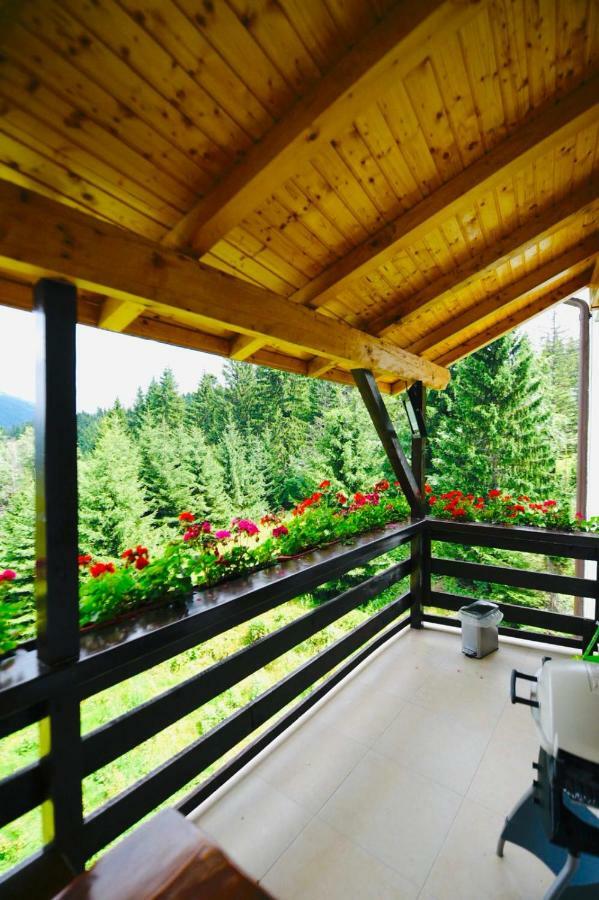 Nature House Predeal Dış mekan fotoğraf