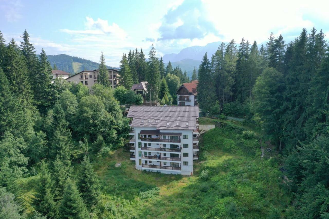 Nature House Predeal Dış mekan fotoğraf